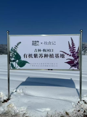 功能醫學智慧新篇章 全食物日記當選理事單位，以精準營養賦能行業健康未來